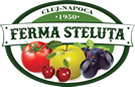 ferma steluta